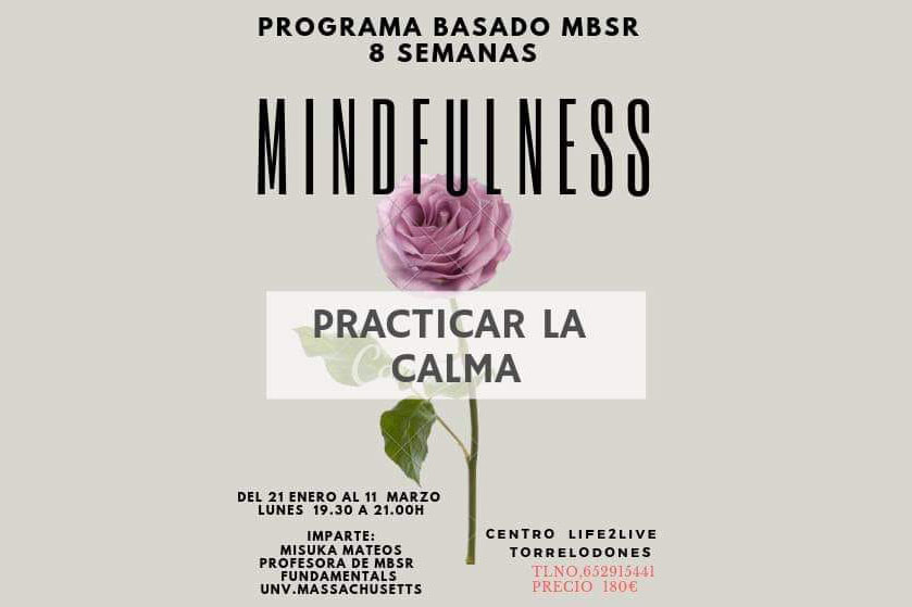 Practicar la calma, nuevo taller Mindfulness